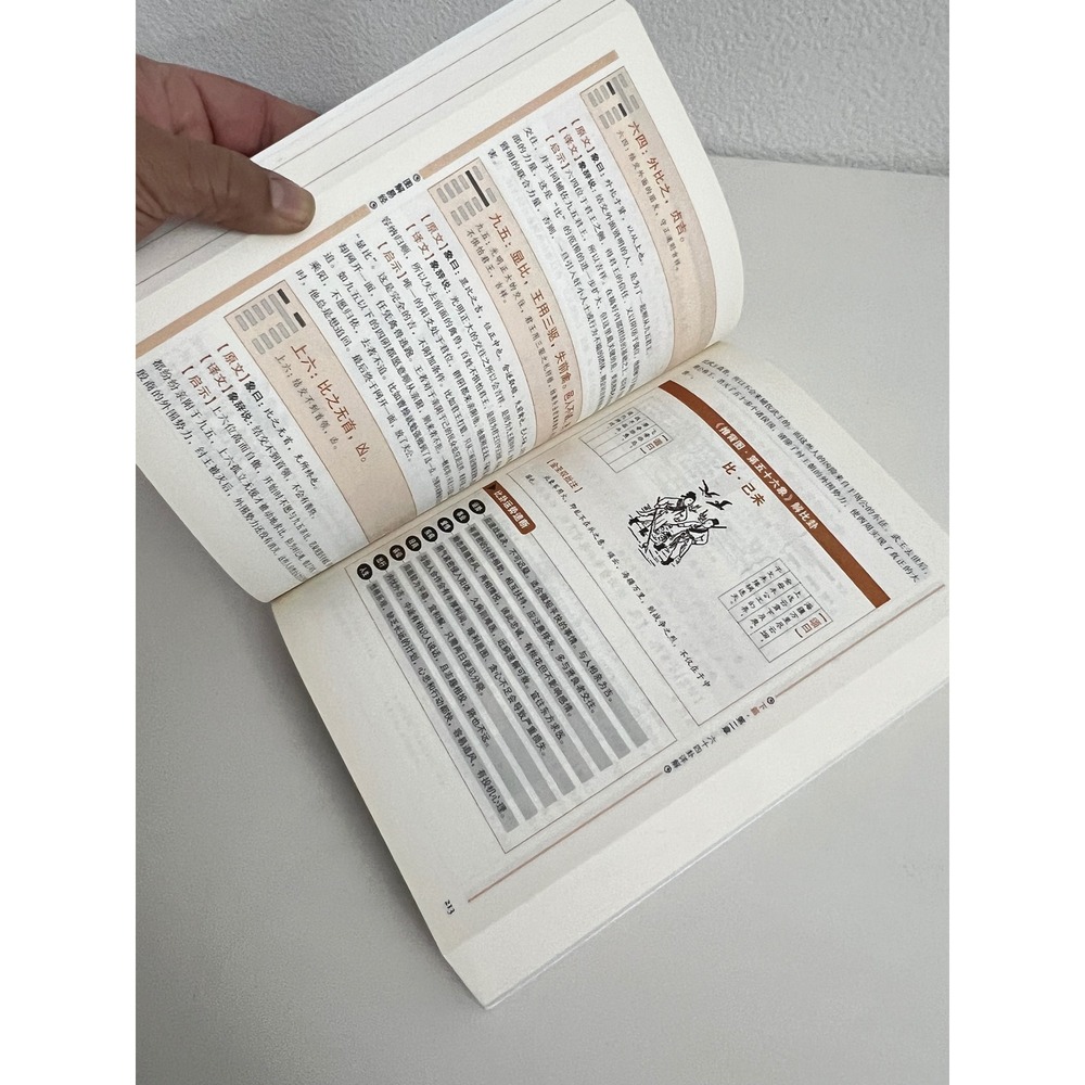 Illustrated I Ching Book Yi Jing Chinese Classic Philosophy Divination Guide - Picture 3 of 3